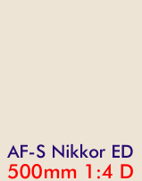 AF-S 500/4