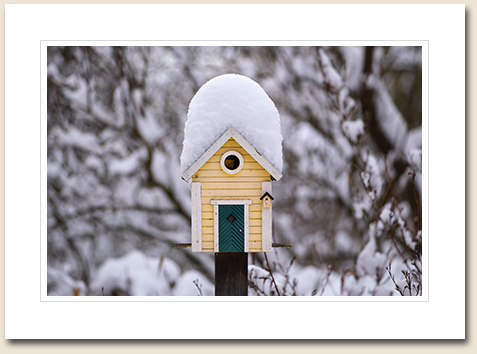 The Ultimate Collection of Powerful Images by Michael Weber