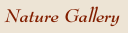 Nature Gallery